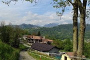 In Canto Alto (1146 m) da casa (Zogno, 310 m) ad anello il 7 maggio 2019 - FOTOGALLERY